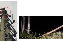 Leo cột điện chọc tổ ong, bị điện giật rơi xuống đất tử vong