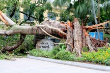 TS Nguyễn Ngọc Huy: "Vẫn chưa hết bàng hoàng khi nhắc tới bão số 3"