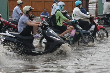 TPHCM khẩn trương ứng phó biến đổi khí hậu toàn cầu 