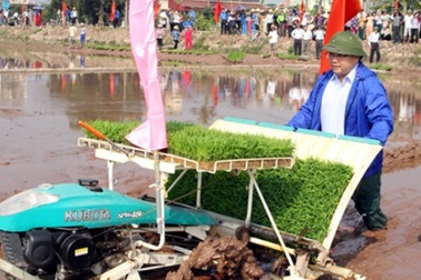 Tân Bí thư cùng Chủ tịch Hà Nội xuống đồng cấy lúa