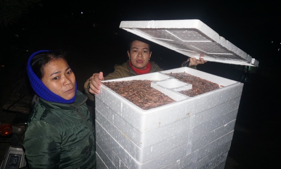 Mỗi ngày đút túi gần chục triệu đồng nhờ vớt lộc đùn lên từ đất - 10 Mỗi ngày đút túi gần chục triệu đồng nhờ vớt lộc đùn lên từ đất - 10