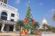 Chiêm ngưỡng cây thông Noel "khổng lồ" cao ngang tòa nhà 5 tầng ở Ninh Bình