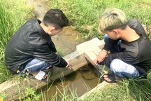 Hai thanh niên 18 tuổi gây ra 12 vụ cướp