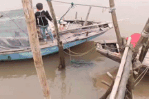 Rùa biển quý hiếm nặng 50 kg mắc lưới ngư dân