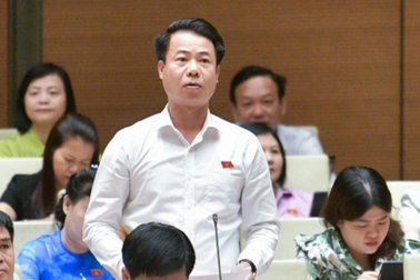 Đại biểu: Tiếp tục chia sẻ thông điệp không hình sự hóa quan hệ kinh tế