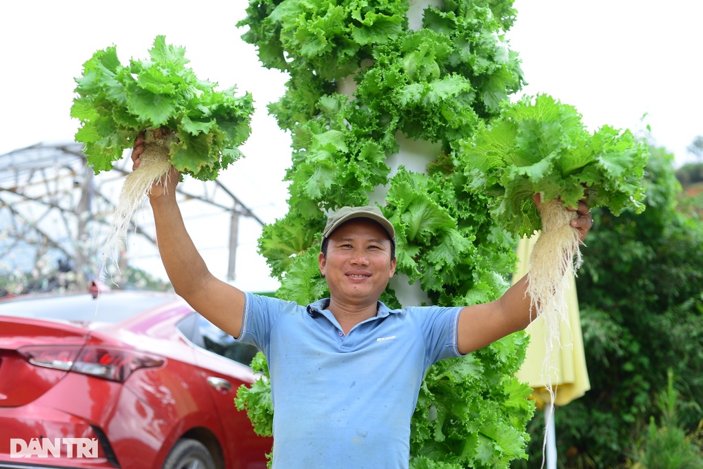 Bắc thang trồng rau, kiếm tiền triệu mỗi ngày - 3