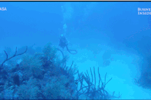 Cùng khám phá phòng nghiên cứu dưới biển duy nhất trên thế giới