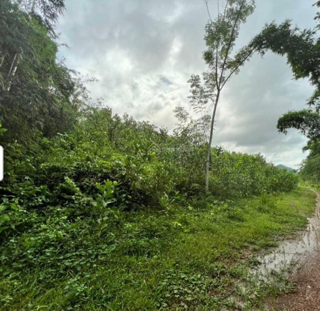 Đau lòng án mạng từ tình yêu mù quáng - 2 Đau lòng án mạng từ tình yêu mù quáng - 2