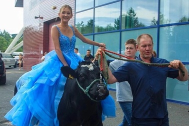 Nữ sinh Anh... cưỡi bò đi dự dạ hội cuối cấp