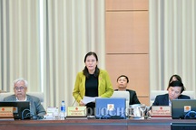 Đánh giá tác động dự án luật như bản nháp, tại sao vẫn cho qua?