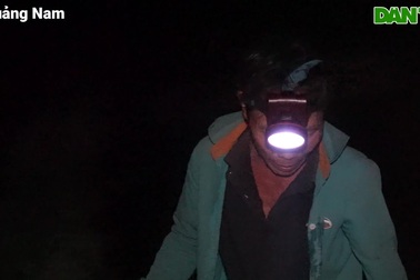 Giữa đêm rọi đèn, lội bùn theo chân "thợ săn" cua đồng