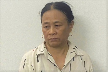 Bắt giữ đối tượng lợi dụng quyền khiếu nại, tố cáo vi phạm pháp luật