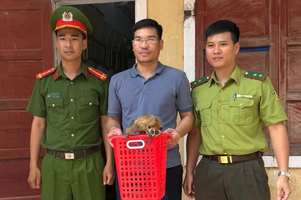 Bất ngờ phát hiện loài động vật cực kỳ quý hiếm khi dọn vườn nhà - 1 Bất ngờ phát hiện loài động vật cực kỳ quý hiếm khi dọn vườn nhà - 1