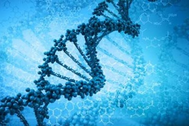Phát hiện gen mới giúp khỏe tim và chống ung thư vú