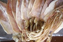 Trộm 17kg khô mực rồi bỏ trốn, nam thanh niên ở An Giang bị truy nã