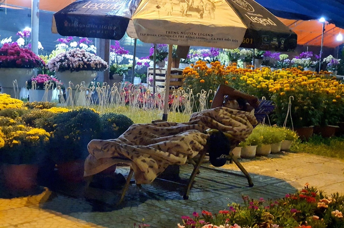 Trắng đêm ở chợ hoa: 4 năm qua, tôi chưa đón giao thừa cùng gia đình - 6 Trắng đêm ở chợ hoa: 4 năm qua, tôi chưa đón giao thừa cùng gia đình - 6