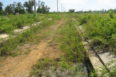 Khu quy hoạch bỏ hoang 