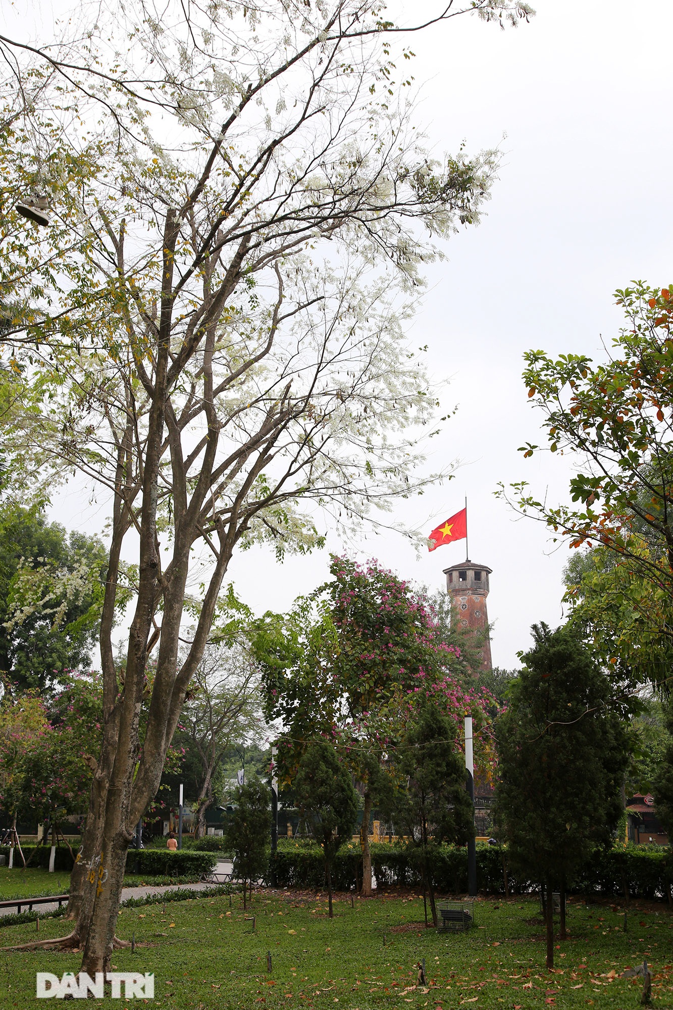 Hà Nội đẹp lạ trong mùa hoa sưa nở trắng tinh khôi - 13 Hà Nội đẹp lạ trong mùa hoa sưa nở trắng tinh khôi - 13