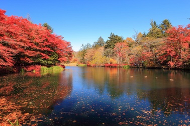 5 thành phố cổ tuyệt đẹp ở xứ Phù Tang