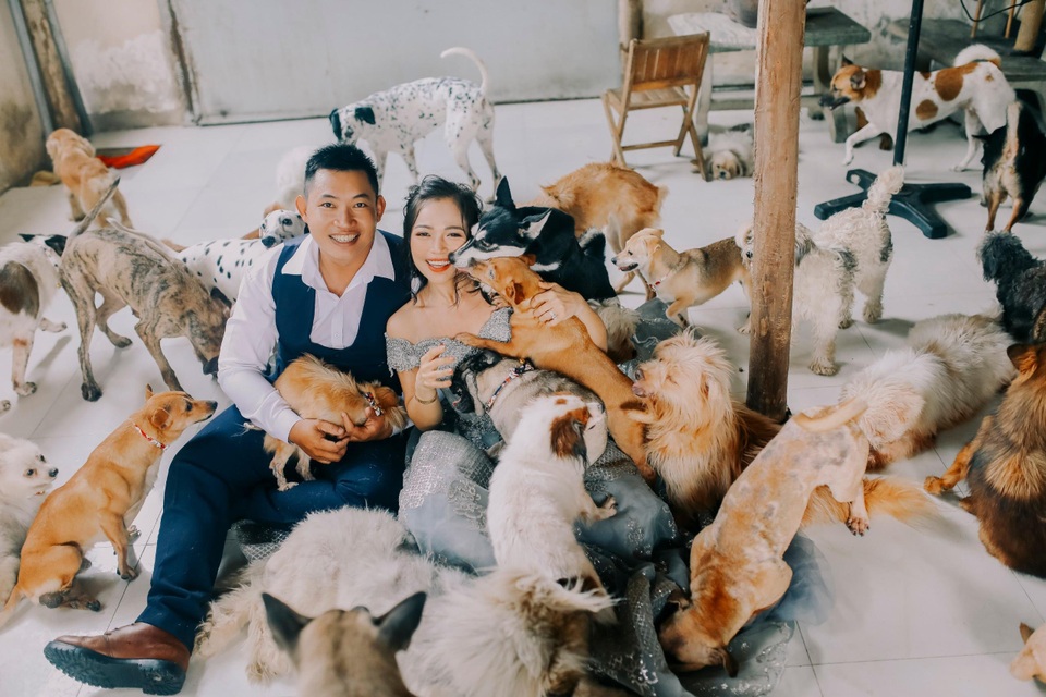Cặp đôi chụp ảnh cưới độc đáo cùng dàn chó mèo cưng xỉu - 9 Cặp đôi chụp ảnh cưới độc đáo cùng dàn chó mèo cưng xỉu - 9