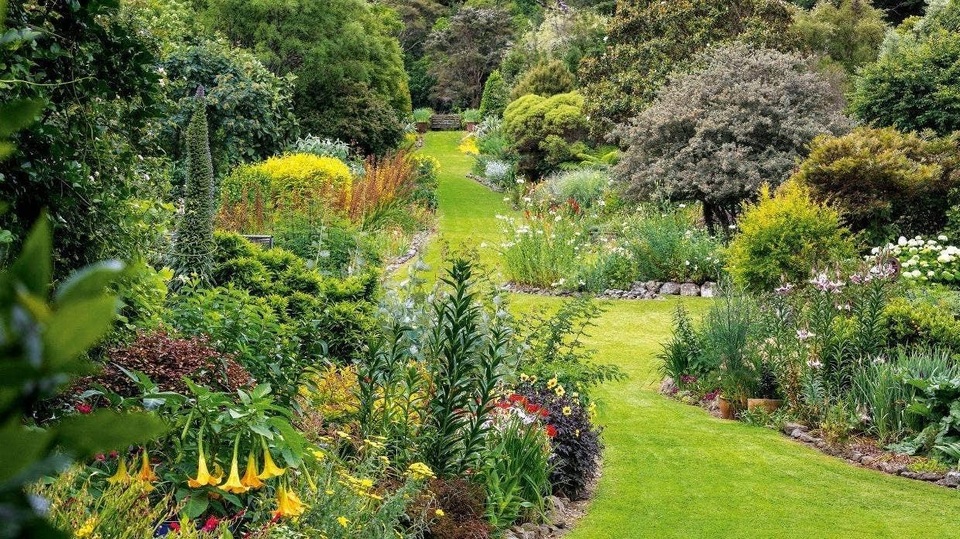 Biến chỗ nuôi gà cũ nát thành thiên đường xanh mát hút các loài chim - 3