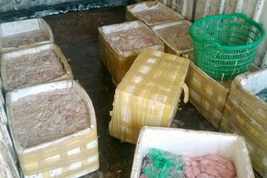 Hàng tấn nội tạng động vật bốc mùi trên xe chở hàng đông lạnh