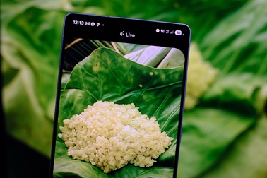 Khám phá văn hóa ẩm thực Hà Nội qua lăng kính Galaxy S25 và Gemini Live