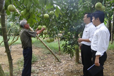 Thương hiệu mạnh trên thị trường tài chính nông thôn