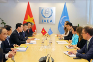 Chủ tịch nước Võ Văn Thưởng gặp Quyền Tổng Giám đốc IAEA