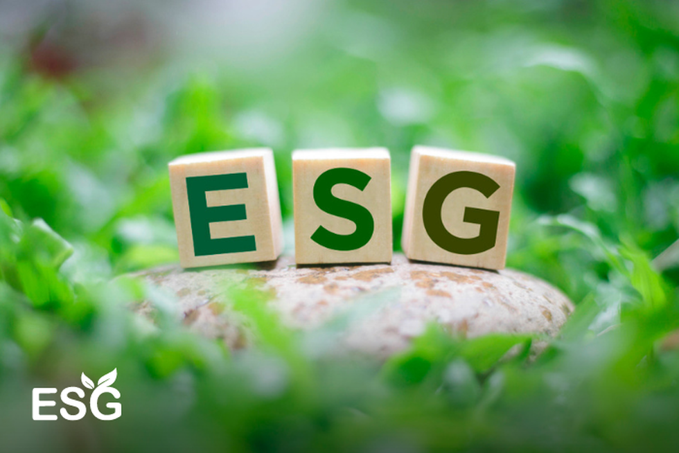 Hạnh phúc ở nơi làm việc, nhân sự cống hiến gấp đôi, gắn bó không vì tiền - 8 Hạnh phúc ở nơi làm việc, nhân sự cống hiến gấp đôi, gắn bó không vì tiền - 8