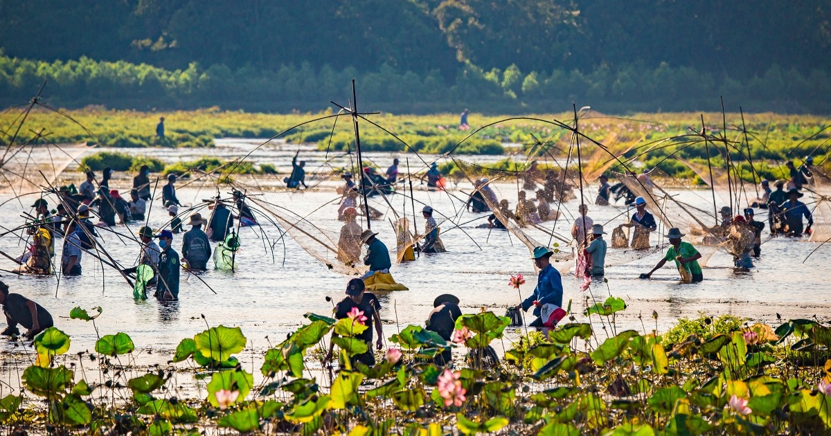 Độc đáo Lễ hội "Phá trằm", cả trăm người lội bùn bắt cá