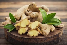 Gừng có giúp giảm buồn nôn do hóa trị?