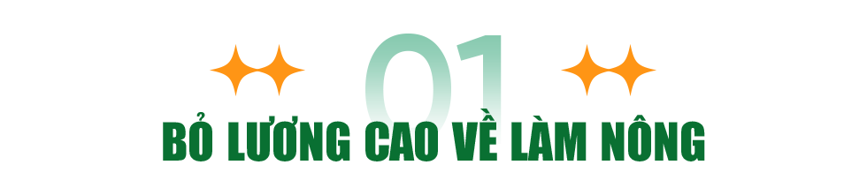 Bị chê “điên” khi về làm nông, người đàn ông ẵm trọn 5 sản phẩm quốc gia - 3 Bị chê “điên” khi về làm nông, người đàn ông ẵm trọn 5 sản phẩm quốc gia - 3