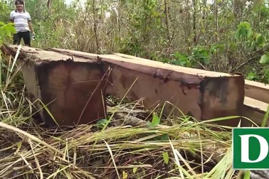 Cận cảnh lâm tặc mở "công trường" khai thác gỗ trái phép