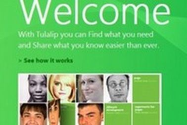 Microsoft đang bí mật phát triển mạng xã hội?