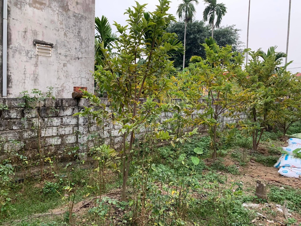 Lao vào cơn sốt đất ảo, vợ chồng nuốt nước mắt nhìn tài sản đội nón ra đi - 1 Lao vào cơn sốt đất ảo, vợ chồng nuốt nước mắt nhìn tài sản đội nón ra đi - 1