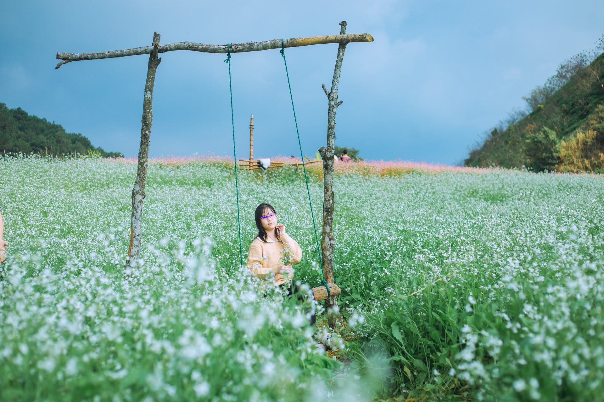 White mustard flowers are vast in Moc Chau, tourists from everywhere flock to take photos - 13