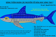 Nam sinh Hà Nội dành 45 ngày thiết kế lại bảng tuần hoàn hóa học