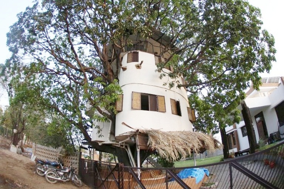 Ngôi nhà lạ bao trọn cây xoài 85 tuổi của người đàn ông yêu thiên nhiên - 1 Ngôi nhà lạ bao trọn cây xoài 85 tuổi của người đàn ông yêu thiên nhiên - 1