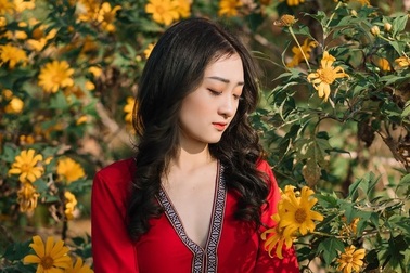 Giới trẻ nô nức "check-in", khoe ảnh bên sắc hoa dã quỳ