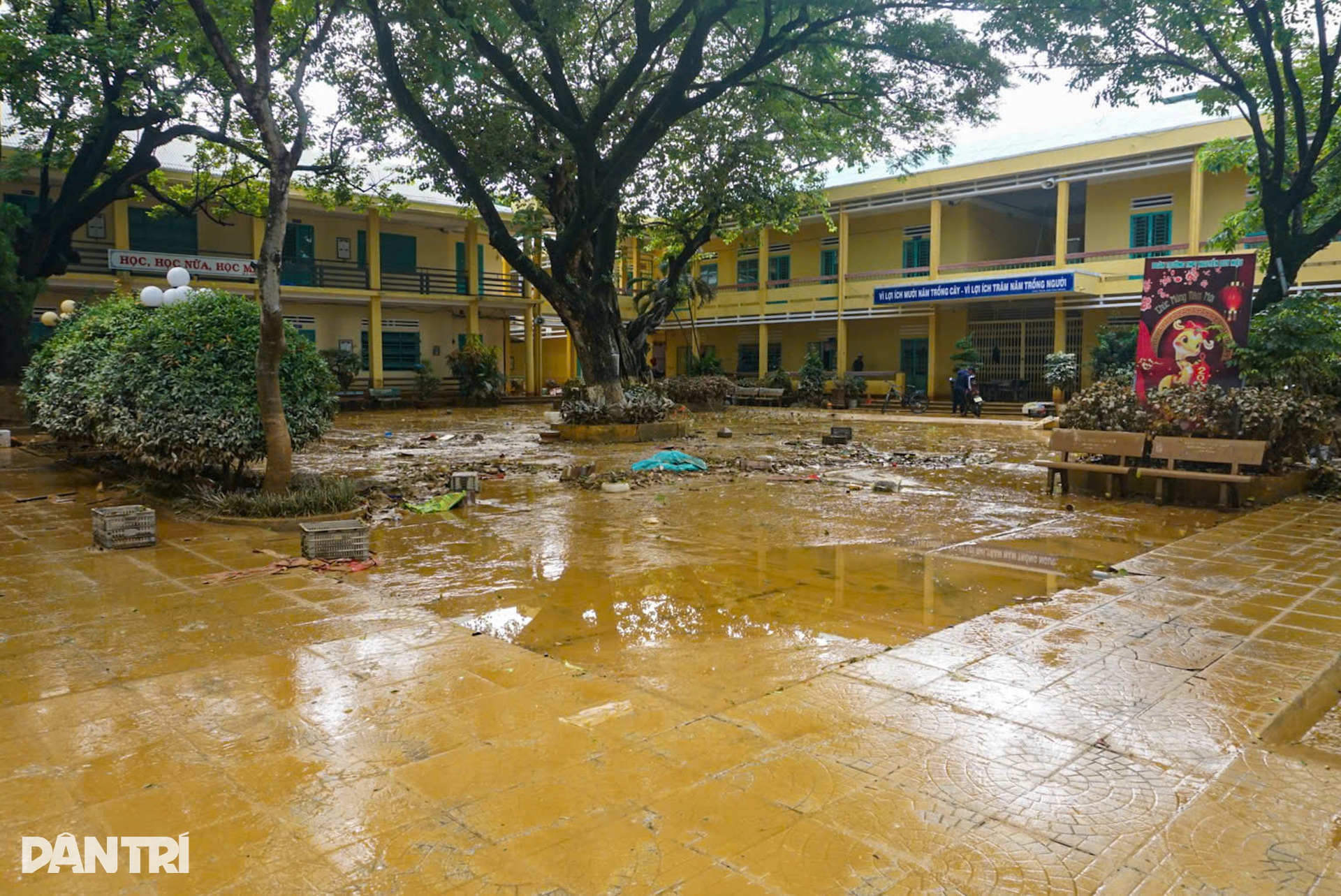 Ô tô chết la liệt, bùn và rác phủ kín khắp nơi sau lũ - 12 Ô tô chết la liệt, bùn và rác phủ kín khắp nơi sau lũ - 12