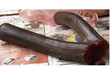 Thủ thuật chế nhung hươu dỏm