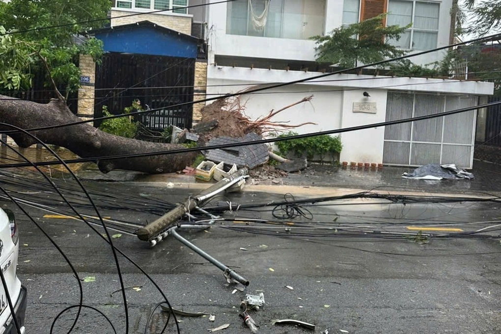 Mưa kèm gió lớn, cây xanh bật gốc đè trúng ô tô và nhà dân ở Bình Dương - 1 Mưa kèm gió lớn, cây xanh bật gốc đè trúng ô tô và nhà dân ở Bình Dương - 1