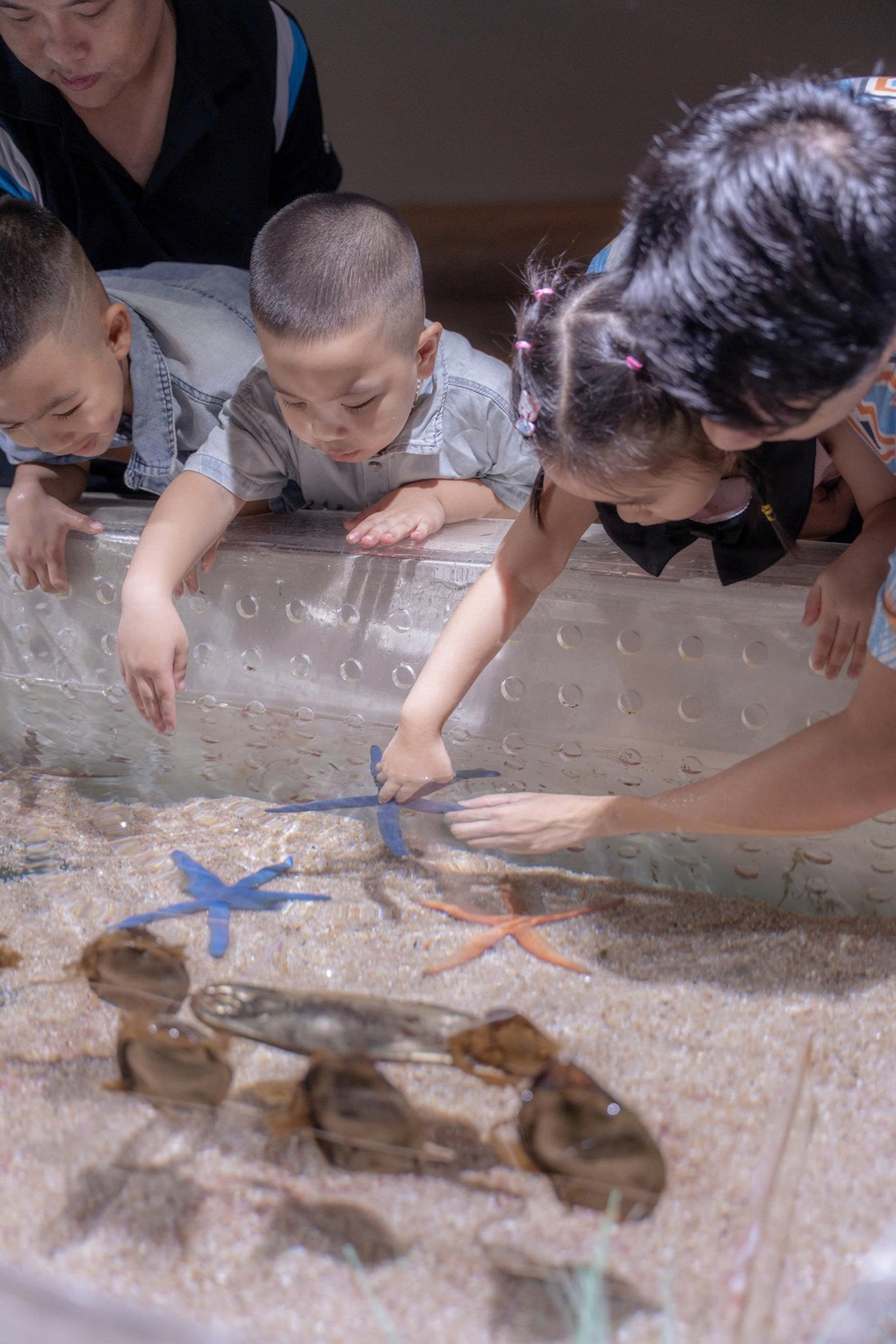 Lotte World Aquarium ហាណូយ ស្វាគមន៍អ្នកទស្សនាទី ១ លាននាក់របស់ខ្លួន។ Thủy cung Lotte World Hà Nội đón vị khách thứ 1 triệu - 3