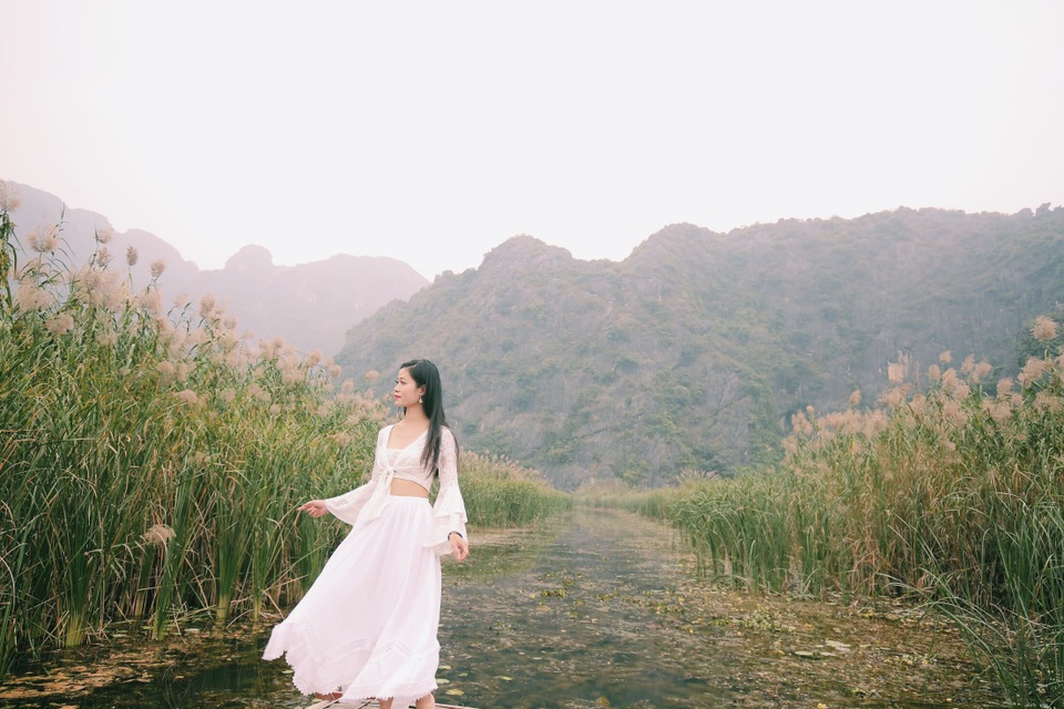 Ngỡ ngàng mùa sen giữa trời đông, lau đẹp như tranh ở Ninh Bình - 3 Ngỡ ngàng mùa sen giữa trời đông, lau đẹp như tranh ở Ninh Bình - 3