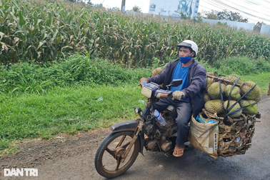 Người tung tin thất thiệt khi mua bán sầu riêng bị mời lên làm việc