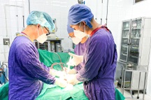 Sau cơn nhói đau, nhiều thanh niên phải cắt bỏ tinh hoàn