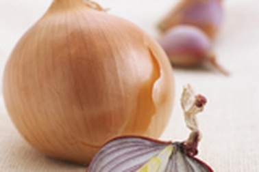 Sự kỳ diệu của thực phẩm mùa đông