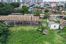 Cỏ mọc um tùm, rác chất đống ở hàng loạt chợ tiền tỷ bị bỏ hoang tại Hà Nội