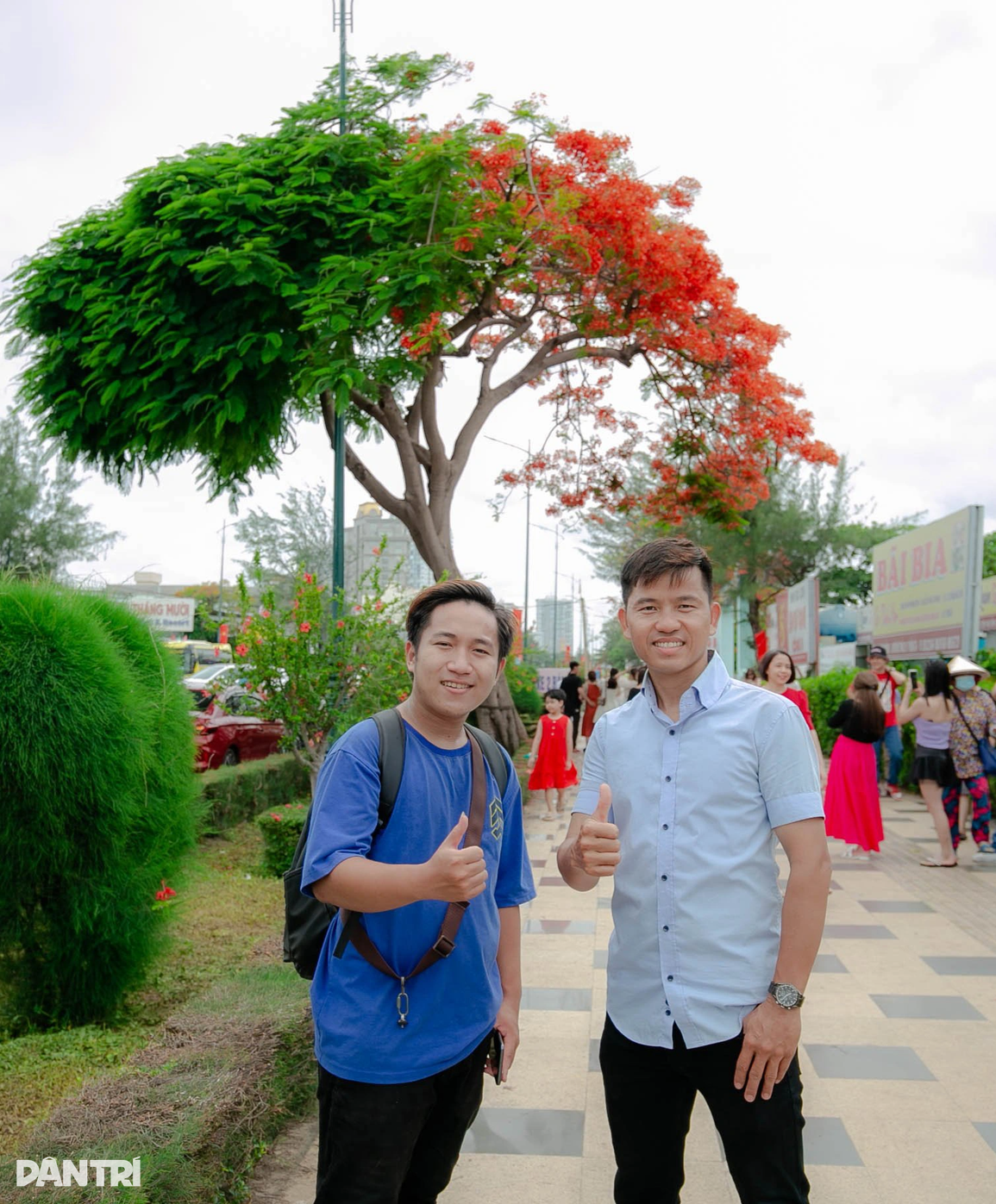 Cây phượng gây bão mạng hút đoàn người xếp hàng chờ check-in giữa trưa - 6 Cây phượng gây bão mạng hút đoàn người xếp hàng chờ check-in giữa trưa - 6